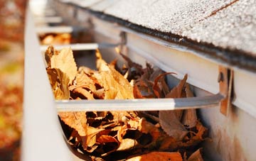 Birchendale gutter cleaning companies