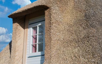 Birchendale thatch roof disadvantages
